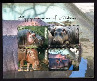 Malawi 2009 Sheet W/stamps Mi 807 - 810 Mnh