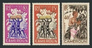 Cameroun 323 - 325,  Mnh.  Michel 306 - 308.  Bananas.  Coffee Beans.  1954.