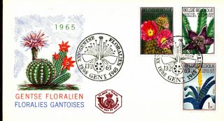 Flora Flowers Cactus Cacti Plants 1965 Belgium Fdc