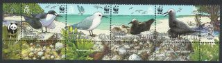 Pitcairn Wwf Seabirds Short Bottom Strip Of 4v Wwf Logo Mnh Sg 724 - 727