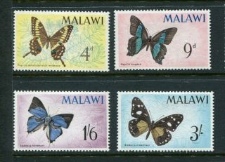 Malawi 37 - 40