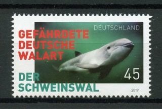 Germany 2019 Mnh Porpoises Marine Animals 1v Set Whales Dolphins Stamps