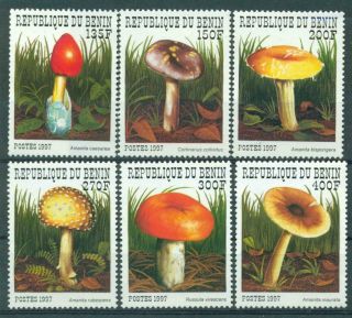 Benin 1997 Mushrooms Mnh C5131