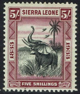 Sierra Leone 1933 Centenary Wilberforce 5/ - Elephant Mnh