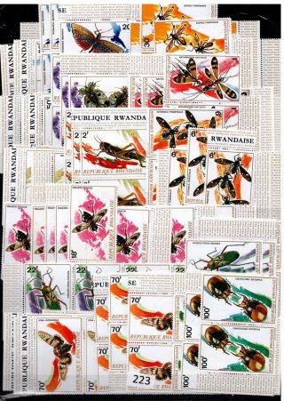 14x Rwanda - Mnh - Nature - Insects - Bugs - Bees