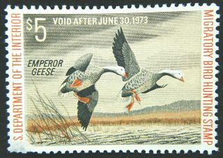 Us Duck Stamp 1972 $5 Emperor Geese Scott Rw39 No Gum