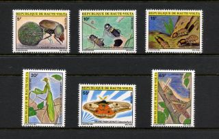 Burkina Faso 1981 554 - 9 Butterflies Insects Beetles 6v.  Mnh L209