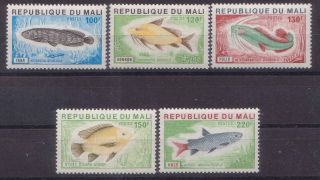 Mali 1976 Fish Mnh C6798