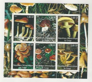 Congo,  Postage Stamp,  2001 Nh Sheet,  Mushrooms