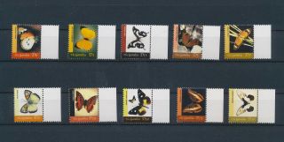 Lk62609 Gambia Insects Bugs Flowers Butterflies Edges Mnh