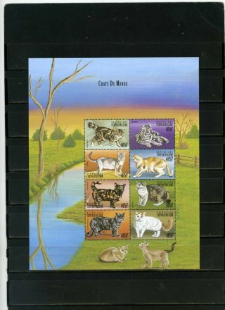 Central African Republic 1999 Fauna/cats Sheet Of 8 Stamps Mnh