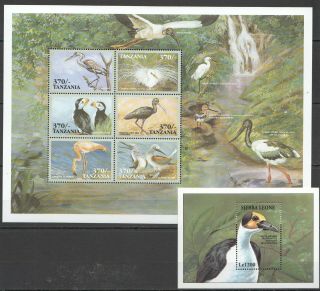 P222 Tanzania Sierra Leone Fauna Tropic Birds Bl,  Kb Mnh Stamps