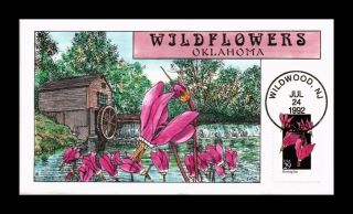 Dr Jim Stamps Us Fdc Collins Hand Painted Wildflowers Scott Number 2654