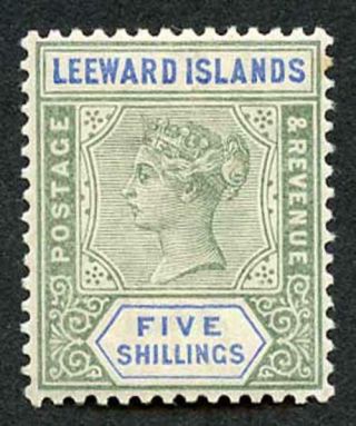 Leeward Islands Sg8 1890 Qv 5/ - Green And Blue Wmk Crown Ca M/m