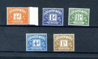 1951 Colours Changed Postage Due Set (5) Sg D35/d39 Unmounted (o380)