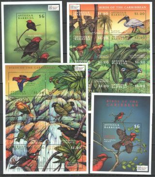 P1509 Antigua & Barbuda Fauna Birds Of The Carribbean 2kb,  2bl Mnh Stamps