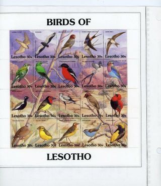 Lesotho 1992 Birds Sheet Scott 886 Lh