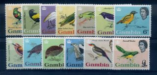 Gambia 1963 Birds Defin Set Mh