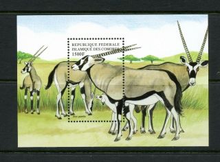 T247 Comoro Islands 1999 Fauna Oryx Sheet Mnh
