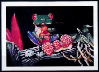 [68855] Sierra Leone 1996 Mushrooms Pilze Champignons Frog Souvenir Sheet Mnh
