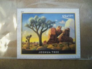 Usa,  2019 Issue,  $7.  35 Joshua Tree,  Priority Mail,  Uncancelled.  Gem