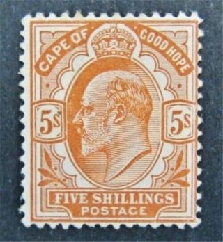 Nystamps British Cape Of Good Hope Stamp 71 Og H $130