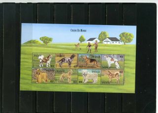 Central African Republic 1999 Fauna/dogs Sheet Of 8 Stamps Mnh