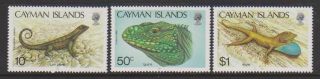 Cayman Islands - 1987,  Lizards Set - Mnh - Sg 656/8