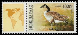 Burkina Faso 1089 (mi1408) - Canada Goose " Branta Canadensis " (pf43358)