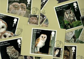 Owls 2018 - Royal Mail Franked Phq Stamp Cards - 11.  05.  2018