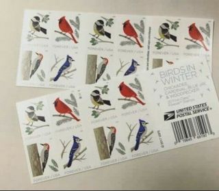 180 Usps Forever Postage Stamps - Birds In Winter (9 Booklets Of 20)