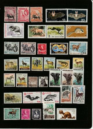 Animals - Thematic Stamps Selection 4 Scans (2229)