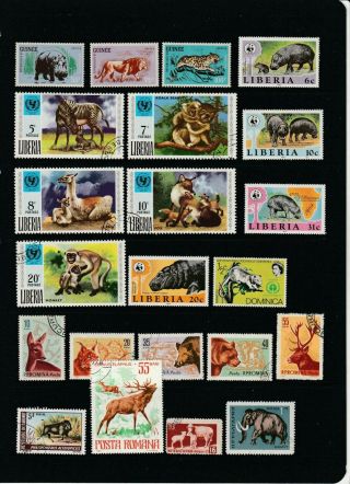 Animals - Thematic Stamps Selection 4 Scans (2230)