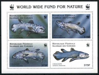 1998 Comoros,  Coelacanthus Fishes,  Wwf,  Souvenir Sheet,  Mnh