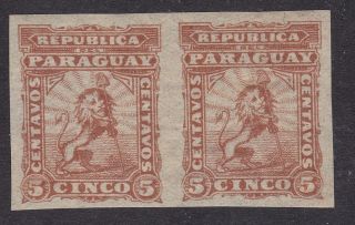 Paraguay 1879 - 5c On Brown - Sg16 - Imperf Pair - Previously Hinged (c6b)