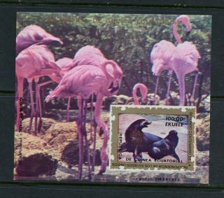 Q126 Equatorial Guinea 1975 Seals Birds Flamingos Imperf Sheet Mnh