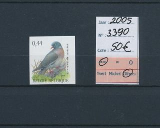 Lk45336 Belgium 2005 Buzin Birds Art Pigeon Imperf Mnh Cv 50 Eur