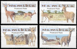 Namibia.  2015.  Small Antelopes Of Namibia (mnh Og) Set Of 4 Stamps