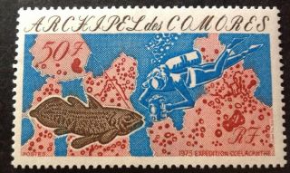 Comoro Islands 1975 50f Coelacanth Expedition Stamp Mnh Sg172