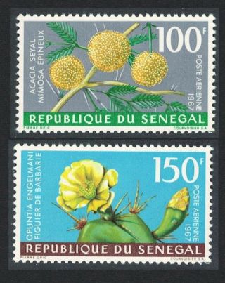 Senegal Mimosa Barbary Fig Flowers 2v Mnh Sg 355 - 356