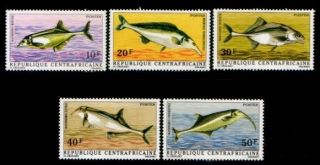 Central African Republic River Fish Mnh Set