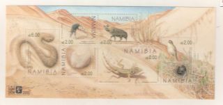 2000 Namibia - Sg Ms 867 Namib Dunes - Umm