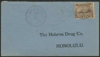 Hawaii,  Scott 75 On 1895 Cover,  Sent From Lahaina To Honolulu,  4 Cancels