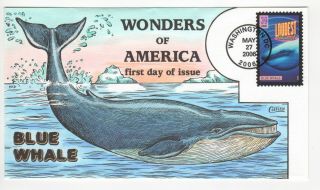 Sss: Collins Hp Fdc 2006 39c Blue Whale Wonders Of America Sc 4069