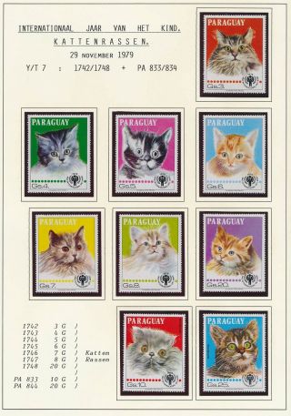 Xb72158 Paraguay 1979 Pets Fauna Cats Fine Lot Mnh