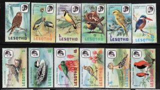 Lesotho Scotts 321 - 32 Set Of 12 Birds 1981,  Mnh