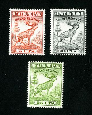 Newfoundland Stamps Nfr46 - 8 Vf Og Nh Revenue Set Of 3