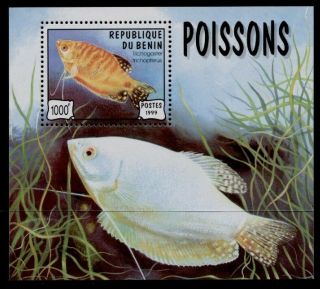 Benin 1154 Mnh - Fish,  Marine Life