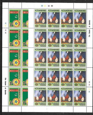 TURKMENISTAN Sc 53 - 8 NH issue of 1996 - MINISHEETS OF 20 - Sc$230, 2