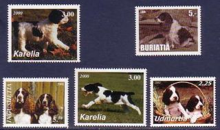 English Springer Spaniel Dogs 5 Different Mnh Stamps Ensp14